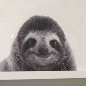 Meet your Posher, Ava